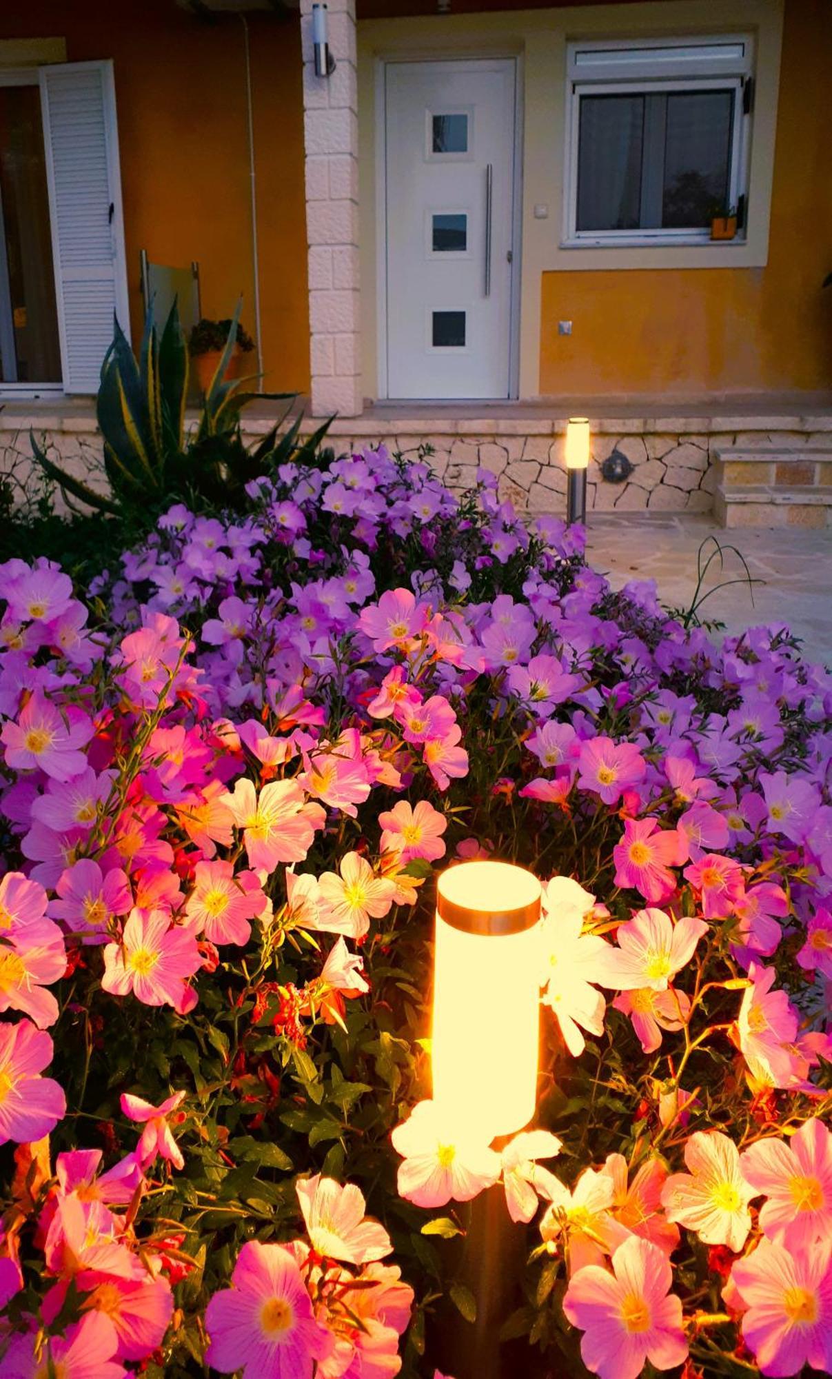 Iris Apartment Near Corfu Town Kontokali Eksteriør billede